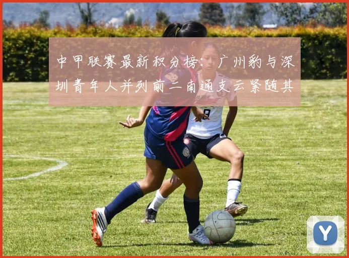 中甲联赛最新积分榜：广州豹与深圳青年人并列前二南通支云紧随其后