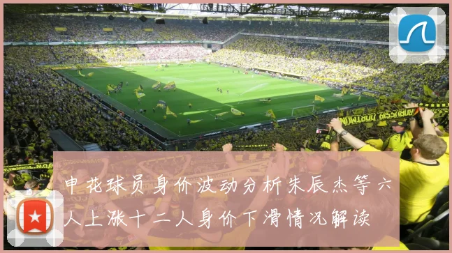 申花球员身价波动分析朱辰杰等六人上涨十二人身价下滑情况解读